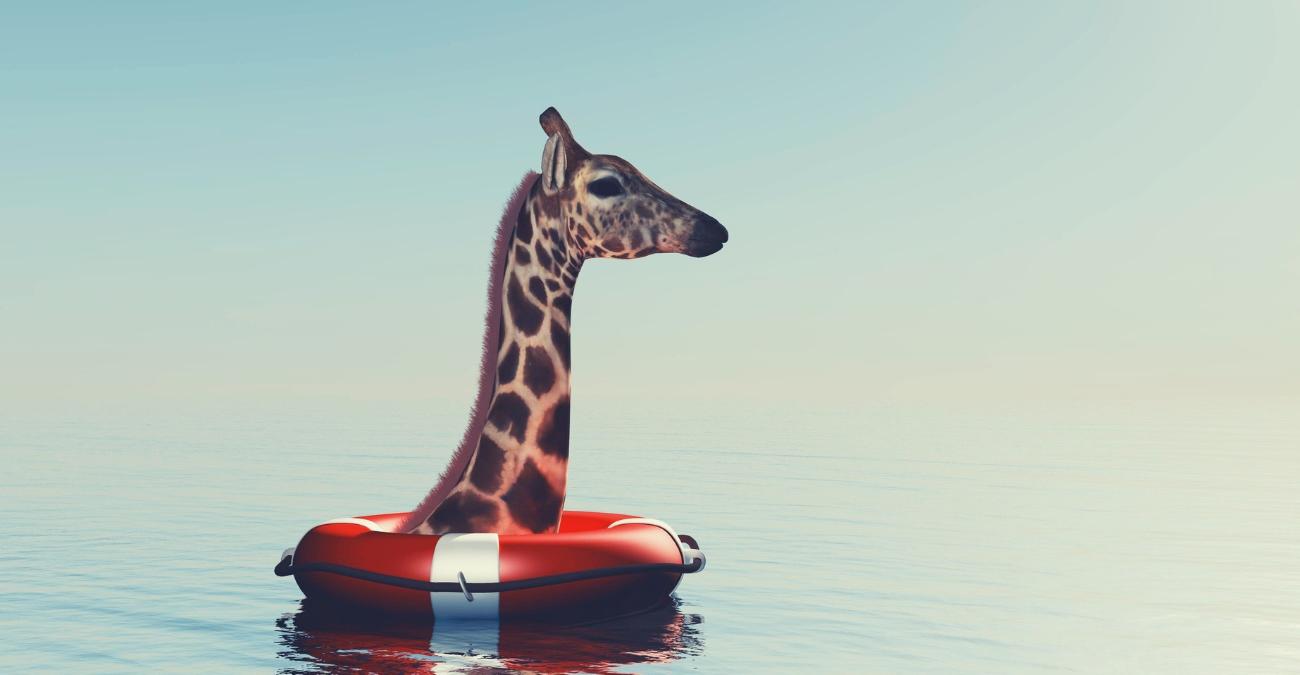 Eine Giraffe guckt mit Hals und Kopf aus einem Rettungsring, der im Meer schwimmt. Ein augenzwinkertes Symbolbild für einen IT-Notfallplan.