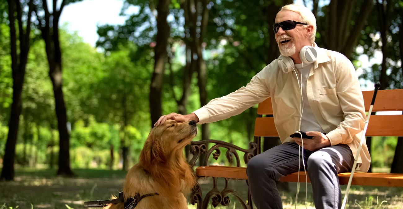 Blinder Mann auf Parkbank streichelt Hund und nutzt mobil barrierefreie Webseite