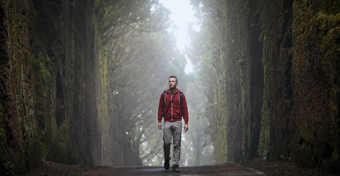 Mann läuft durch großen Wald wie sensible Daten, die Kerberos vor Hackern schützt.