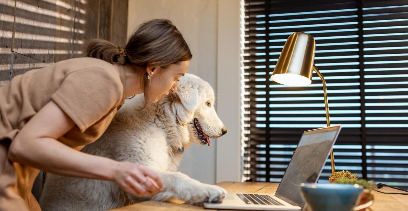 Ein weißer Hund tippt an einem Notebook. Sein Frauchen sieht ihm von hinten bei der Webseitenbetreuung über die Schulter.