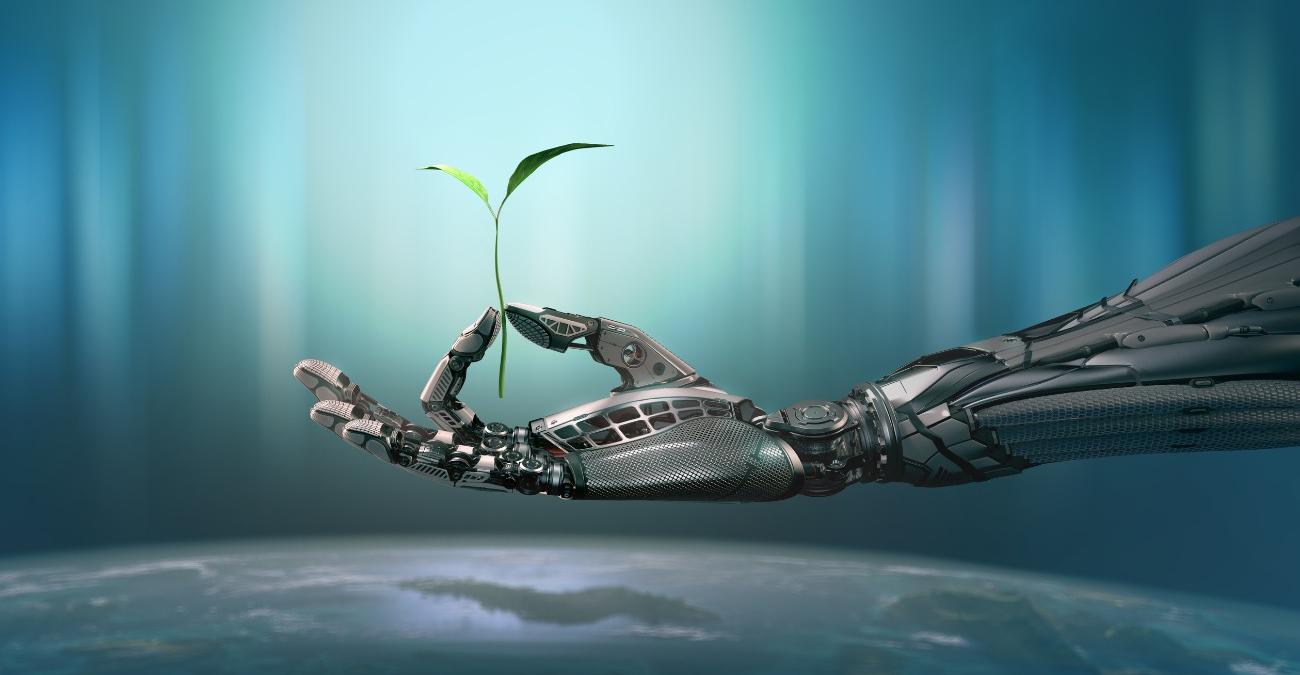 Ein Roboterarm hält eine kleine, empfindliche Pflanze in der Hand. Ein Symbolbild für technische Schulden.